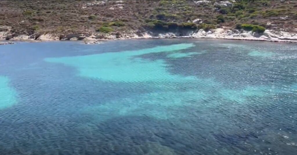 Les plages de Calvi : des joyaux en Corse