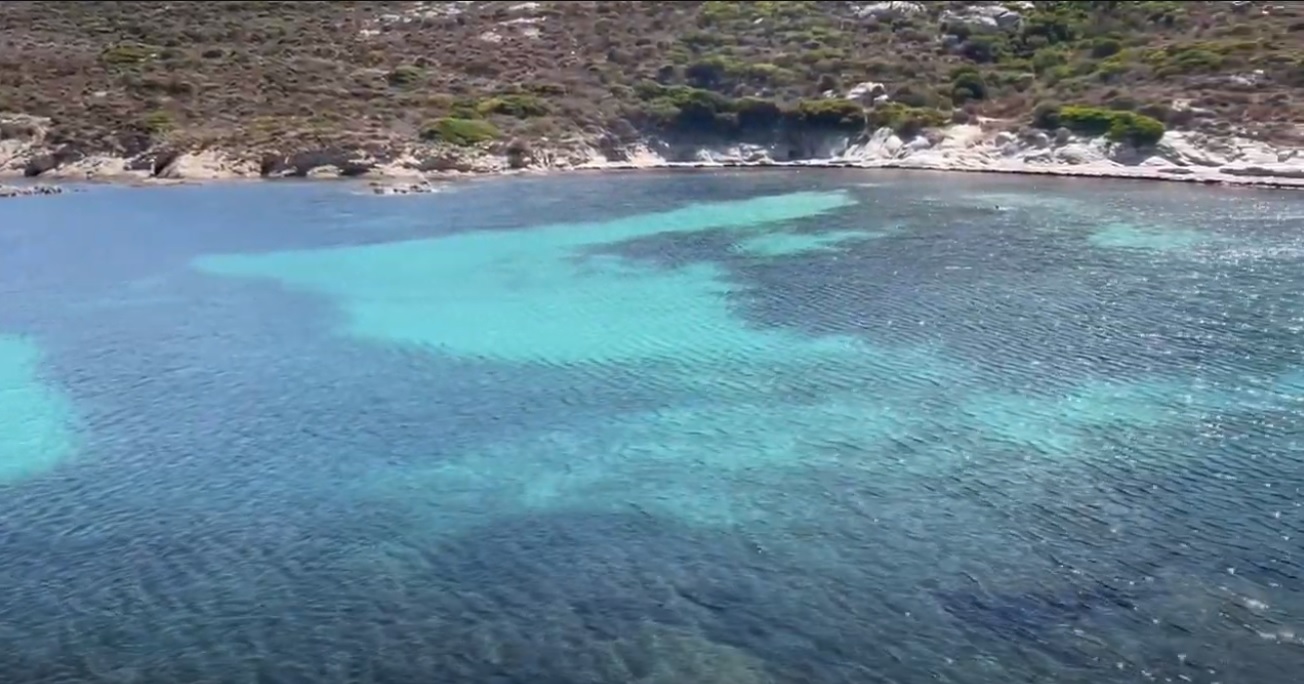Les plages de Calvi : des joyaux en Corse