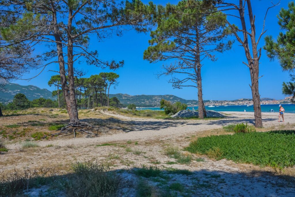 Entête pour le Camping Dolce Vita, un camping Corse bord de plage