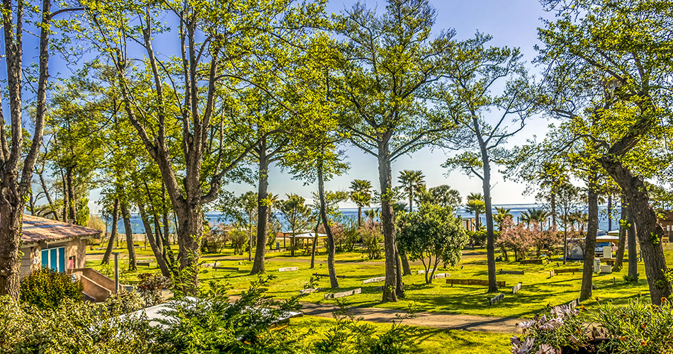 camping_merendella_corse_verdoyant_parc_bord_de_mer