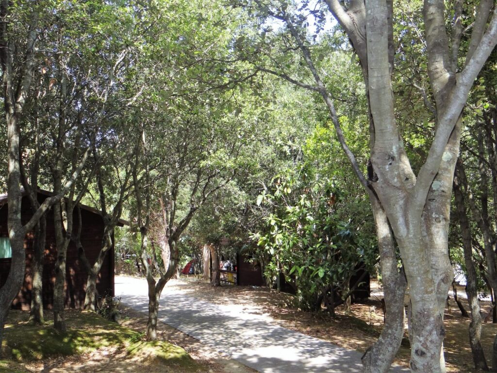 Séjour nature en chalet au Camping A Stella Chalets ombragés au cœur du Camping A Stella en Corse