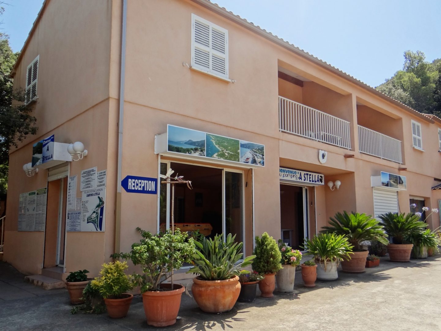 Accueil et réception du Camping A Stella à Saint-Florent