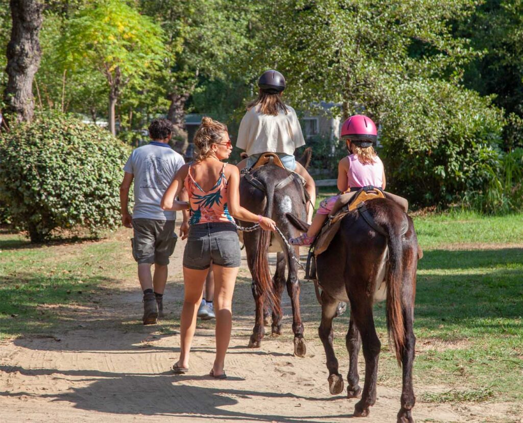 Quels campings en Corse proposent des activités pour enfants