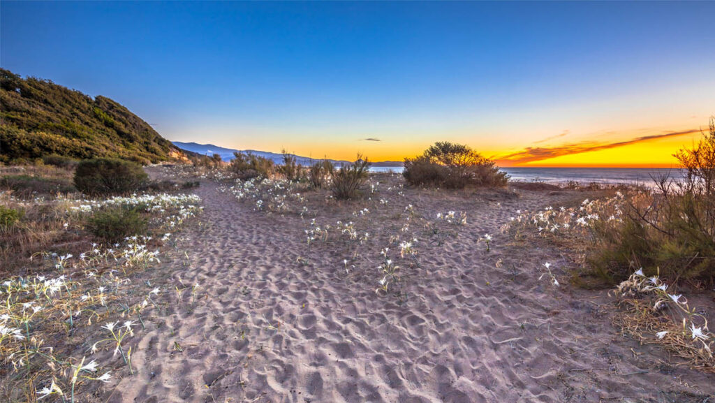Meilleurs Campings en Corse avec les pieds dans l'eau
