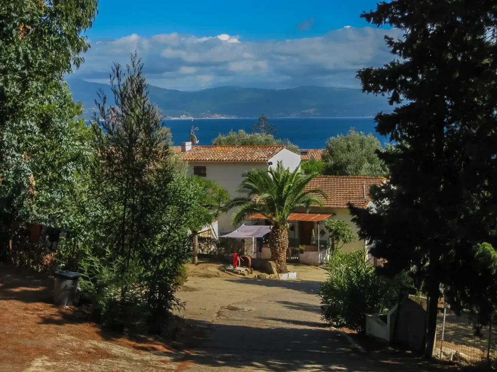 camping corse bord de mer ajaccio Allée ombragée du camping Barbicaja avec bungalows traditionnels sous les palmiers et vue plongeante sur le golfe d'Ajaccio.
