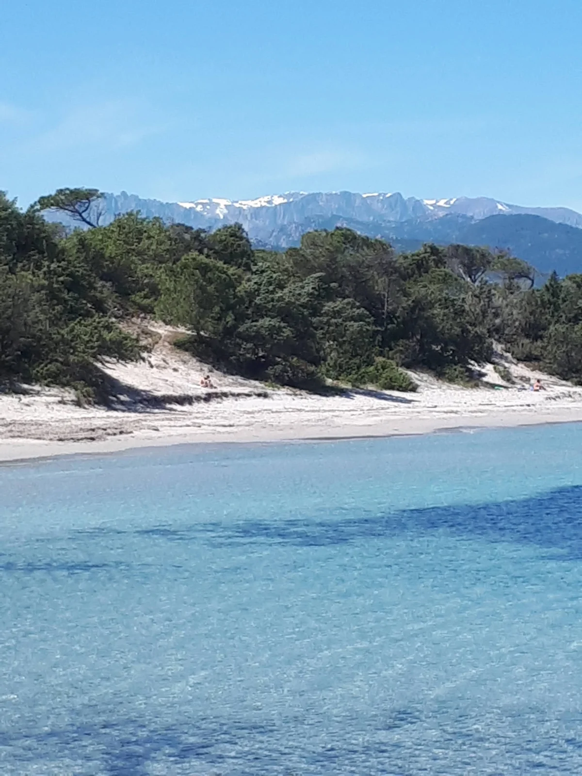 Vue panoramique depuis les eaux cristallines de la plage de Villata en Corse, montrant le sable blanc, la pinède et les sommets enneigés de l'Alta Rocca en arrière-plan.
