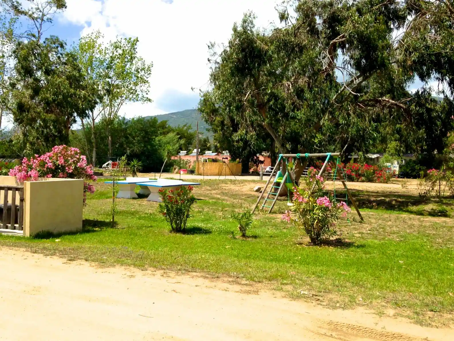 Aire de jeux pour enfants avec balançoires et tables de ping-pong au cœur d'un parc arboré au Camping Milella.