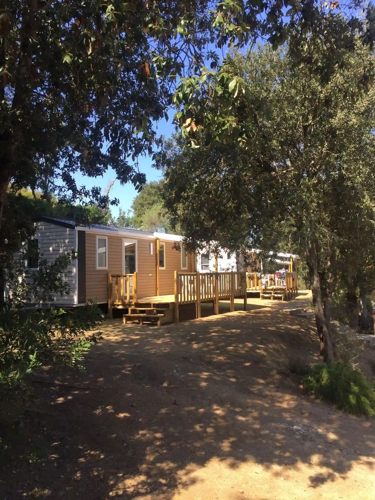 Rangée de mobil-homes récents avec terrasses surélevées en bois sous une forêt de chênes verts au Camping Milella.