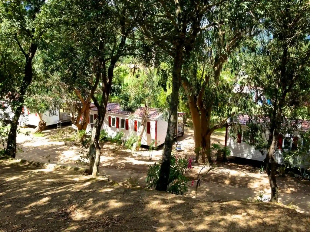 nature et environnement naturel du camping milella Vue plongeante sur les toits des mobil-homes nichés au cœur d'une forêt dense d'eucalyptus et de chênes.
