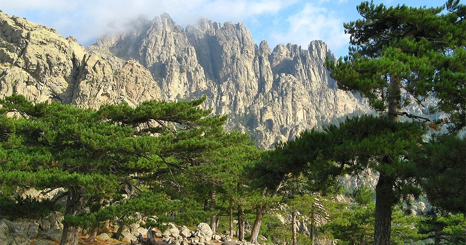 Aiguilles de Bavella proche du Camping U Pirellu