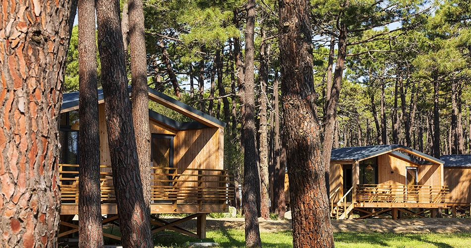 Chalets dans la pinède au bord de mer à Porto-Vecchio